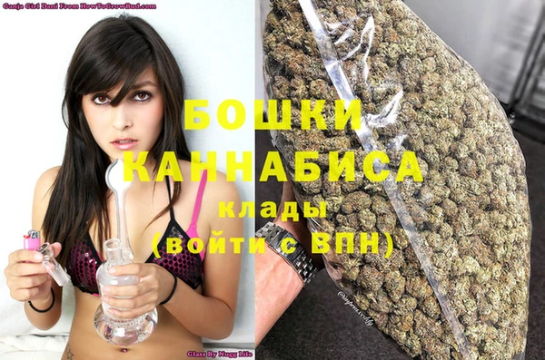 крисы Верея